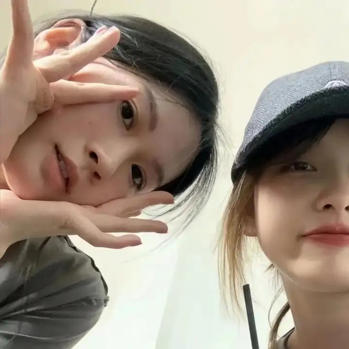 小迪克西